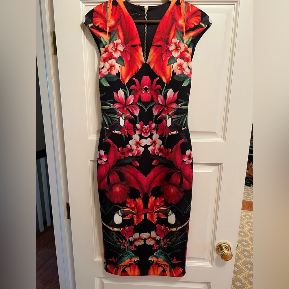 Ted Baker Bismii Toucan print sheath dress size 2 equal to a 6 US.